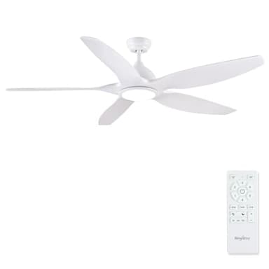 Newday 153cm Grand Ventilateur de Plafond Blanc avec Lumiere et Télécommande Silencieux, Plafonnier Ventilateur Moderne avec Moteur DC Réversible, 5 Pale Minuterie Dimmer pour Chambre Salon Terrasse