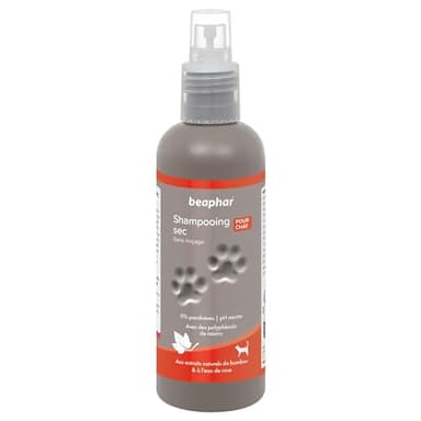 BEAPHAR – Shampoing Sec Premium ultra-doux et parfumé pour chat – Aux extraits naturels de Bambou & d’eau de Rose – Revitalise et rafraîchit le pelage – Limite l’excès de sébum – Sans rinçage – 200 ml