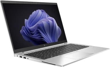 HP EliteBook 845 G8 Ordinateur Portable, Affichage FHD de 14 Pouces, AMD Ryzen 5 Pro 5650U, RAM 8 Go, SSD 256 Go, Clavier QWERTY américain, HDMI, Wi-FI, Webcam, Win11 Pro (Renouvellé)
