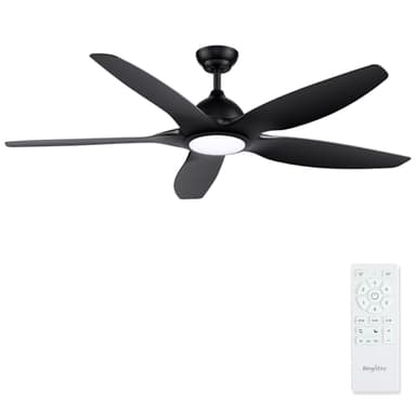 Newday 153CM Grand Ventilateur Plafond Noir avec Lumiere et Télécommande Silencieux, Plafonnier Ventilateur avec Moteur DC Réversible, 5 Pales, 3 Minuterie, Dimmer sans pas pour Chambre Salon Terrasse