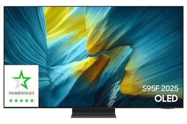 Samsung TV OLED TQ77S95F OLED Anti Reflet 100 Hz 4K 196 cm 2025