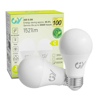 GY Ampoule LED E27 9.5W (équivalent 100W), 6500K Blanc Froid 1521 lumens, A60 Ampoules E27 LED Efficacité Energétique, Dépolie, Non-Dimmable, 2 Unité (Lot de 1)