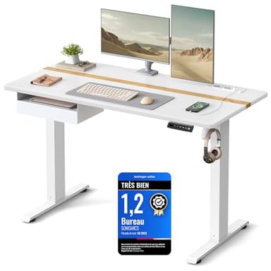 VASAGLE Bureau Électrique Réglable en Hauteur, Bureau Assis-Debout, Surface 60 x 120 cm, Réglable en Continu, Fonction Mémoire de 4 Hauteurs, Blanc LSD112W01