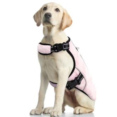 Manteau Rafraichissant pour Chien, Veste D'été Cool Respirante Gilet Refroidissement Veste Gilet Estival Chiens Vêtements Rafraîchissant pour Chiens Activités en Extérieur(Rose, 2XL)