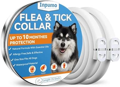 Inpumo Collier Anti Puces pour Chien, Collier Anti Puces Chien, Amélioré avec des Huiles Essentielles Naturelles 10 Mois de Protection étanche et Réglable pour Petit Moyen Grand Chien (2 Pack)