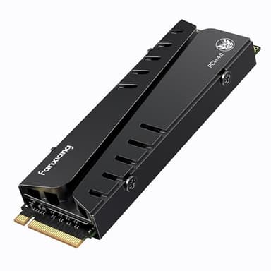 fanxiang SSD 1To NVMe PCIe4.0 Gen4x4 M.2 2280 avec Cache DRAM, avec Dissipateur Thermique, Jusqu'à 7400 Mo/s, Disque Dur SSD Interne Parfaitement Compatible avec PS5(S770)