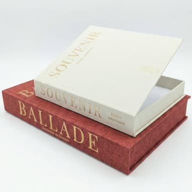 Faux livres décoration d'intérieur en lin – Lot de 2 boîtes secrètes luxe pour deco de bibliothèque ou étagère salon – Livres factices avec rangement télécommande ou autres objets (Terracotta & Beige)