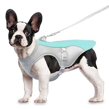 Gilet Rafraichissant Chien - Veste Rafraîchissant Réglable pour Chien de Petite, Moyenne et Grande Taille - Vêtement Manteau Rafraichissant et Absorbante pour Chien pour Le Sport, l'été (S-Bleu)
