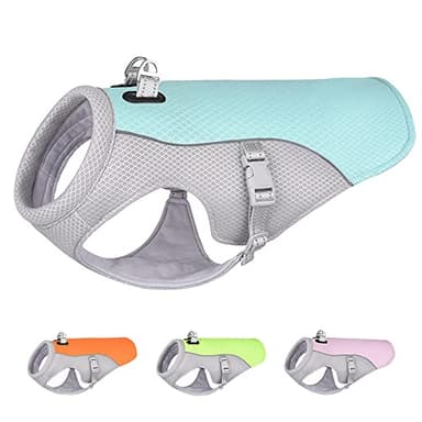 Gilet de refroidissement pour chien de taille moyenne et grande taille - Pour activités en plein air, randonnée, entraînement, éviter les coups de chaleur chez les chiens - Bleu XXL