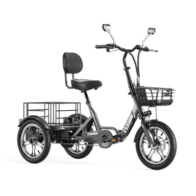 T1 Pro Velo électrique pour Adultes, 3 Roues Pliant Tricycle électrique Homme Femme, Batterie Lithium 48v 22 ah, 16'' Cargo E-Tricycle,Moteur de 250 W