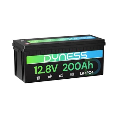 Dyness Batterie Lithium 12V 200Ah LiFePO4 avec BMS 200A intégré et Protection Basse Température, 2560Wh pour Camping-Car/Marin à Décharge Profonde, Solaire, Aventure/Van, Hors-Réseau