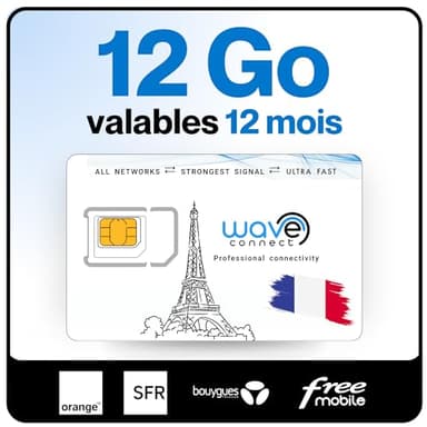 Wave Connect SIM Données France 4 Réseaux, 12 Go valables 12 Mois, Bouygues, Free, Orange, SFR, 4G, 5G, Prépayée, Active dès La Première Utilisation, UE, IoT, Sécurité