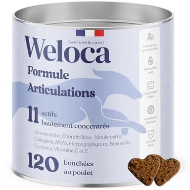Arthrose Chien | 120 compléments Premium | 11 Actifs puissants hautement dosés (Moule Verte, harpagophytum, chondroïne, Glucosamine) | Anti-arthrose, mobilité retrouvée | Formule vétérinaire
