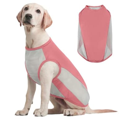 Kuoser Gilet rafraîchissant pour chien XXL - Veste d'été respirante pour animal domestique - Manteau léger de protection solaire - Vêtements d'extérieur pour petits chiens - Vêtements essentiels pour