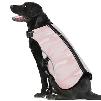 IECOii Gilet rafraîchissant pour chien - Harnais XXL - Veste rafraîchissante d'été pour animaux de compagnie - Manteau rafraîchissant pour chien avec sangles réglables et anneau en D - Grand gilet