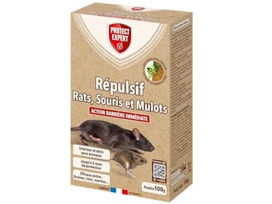 PROTECT EXPERT Répulsif Rats & Souris - 100g - Action Barrière - Intérieur & Abords De La Maison - Traitement Préventif Durable RASOUREP100