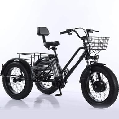LISTaRSw Tricycle éLectrique 3 Roues pour Adultes - Batterie Amovible 48V/12Ah, VéLo Cargo éLectrique 20'', Pneus Larges, Autonomie 35, pour Courses Et Pique-Niques, Charge Maximale 200Kg