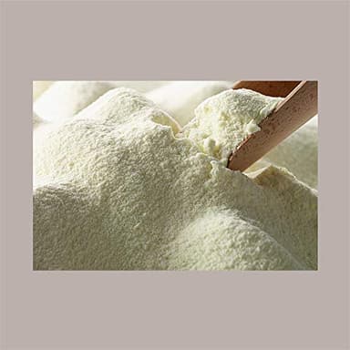 LUCGEL Srl (1 Kg) Lait écrémé instantané sans lactose en poudre