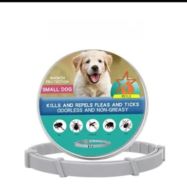 Collier Anti-Puces et Tiques pour Petit Chien, Protection 8 Mois, sans Odeur, Non Gras, Gris