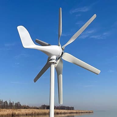 Turbine éolienne de 800W 12V 24V 48V éolienne avec régulateur MPPT 6 pales éolienne domestique à énergie libre à haut rendement (48V avec contrôleur)