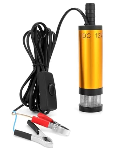 QWORK® Pompe à eau 12V 38MM, pompe diesel avec clip, acier inoxydable, cordon d'alimentation 3M, pour diesel, kérosène, eau