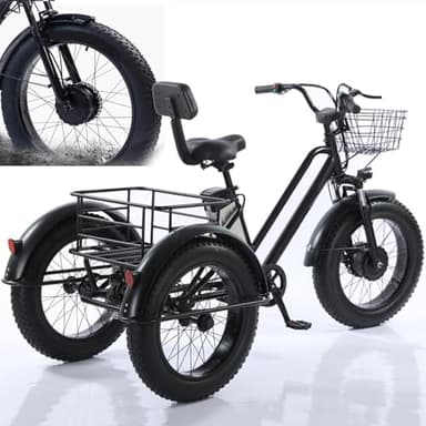 HDaspijh Tricycle éLectrique 3 Roues pour Adultes, Charge Maximale 200 Kg, VéLo Cargo éLectrique 20'', Pneus Larges, Batterie Amovible 48 V/12 Ah, Autonomie 35 Km, pour Courses Et Pique-Niques