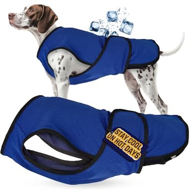 Lautus Pets Gilet Rafraîchissant pour Chien – Veste d’Été Légère pour Petits Chiens avec Fermeture Éclair et Velcro – Facile à Mettre/Enlever pour Promenades, Voyages et Extérieur - XXL