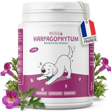 Museau & Co Harpagophytum Chien Chat - Anti-Inflammatoire Naturel Articulations Arthrose - Griffe du Diable 100% Pure - Mobilité Souplesse - 100g Poudre - Fabriqué en France
