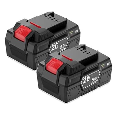 2X 20V 5Ah Batterie de Remplacement pour Parkside PAP 20 B1 B3 A1, Compatible avec Tous Les Outils de la série Parkside X 20V Team