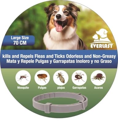 Tempotech Original ® Collier antiparasitaire Chien - Collier leishmaniose - 8 Mois de Protection - Contre Les puces, tiques, moustiques, acariens et poux - Collier Vermifuge (70cm 1 Unités)
