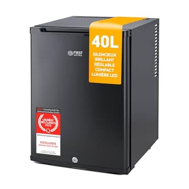 TZS First Austria - Mini réfrigérateur 40L silencieux - Petit mini-frigo avec porte réversible et lumière intérieure - Minibar pour camping, bureau, chambre & hôtel - Noir mat